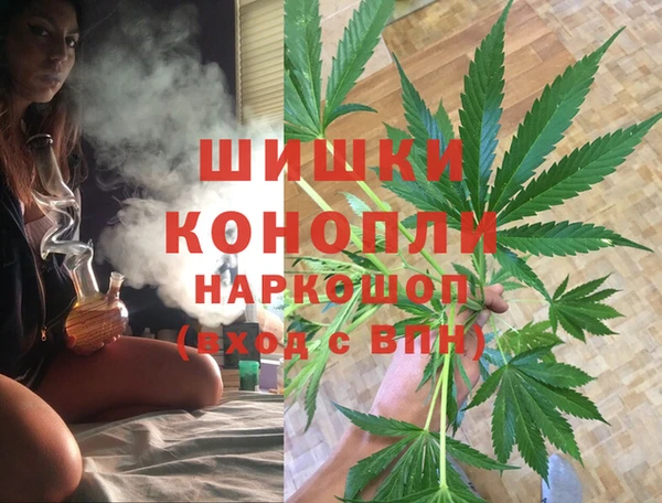 spice Абаза