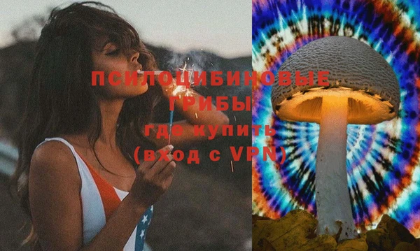 шишки Абдулино
